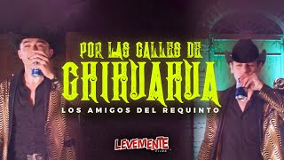 Por Las Calles De Chihuahua En Vivo  Los Amigos Del Requinto [upl. by Currier]