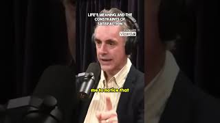 Lifes Meaning and the Constraints of Satisfaction fyp joerogan podcastclips [upl. by Selegna]