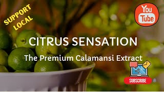 Citrus Sensation  Premium Calamansi Extract  Calamansi Extract Business in the Philippines [upl. by Gwendolin]