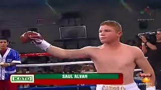 Saul Alvarez  Michel Rosales [upl. by Anoel]