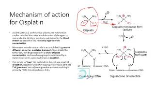 Anticancer agentsLecture 3video [upl. by Gatias815]