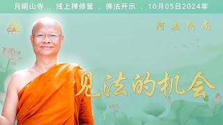 见法的机会 阿姜阿南2024年10月禅修营开示 [upl. by Ailenroc]