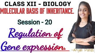 Class XII Biology  Molecular basis of inheritance Regulation of gene expression  Anjali Patel [upl. by Kostman137]