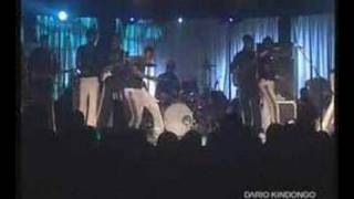 koffi olomide Live Show Guess star Fally [upl. by Harod]