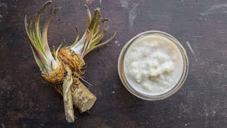 How to Make Prepared Horseradish From Roots [upl. by Antonino]