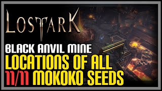 Black Anvil Mine All Mokoko Seeds Lost Ark [upl. by Drus]