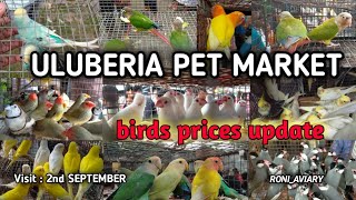 ULUBERIA PET MARKET BIRDS PRICES UPDATE2nd SEPTEMBER cheapestprice uluberiapetmarket viral [upl. by Idoux]