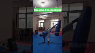 capoeira knockout kick martialarts capoeiramoves kicks shortfeed kickboxing mmaknockouts [upl. by Mourant]