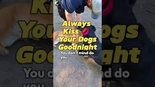 TRUE STORY Man at Dog Park uses Lemons to Repel Mosquitoes on his DOG [upl. by Reiche]