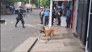 Técnica canina en Managua [upl. by Cichocki]