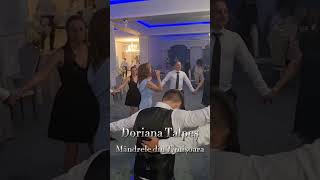 Mândrele din Timișoara 2024 traditii banat folclor live muzica wedding nunta timisoara [upl. by Moreno]