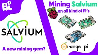 HOW TO MINE SALVIUM with a PI  Raspberry Pi Orange Pi [upl. by Ahsiyn]