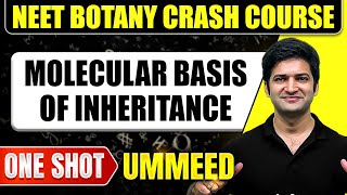 MOLECULAR BASIS OF INHERITANCE in 1 Shot  All Concepts Tricks amp PYQs  NEET Crash Course [upl. by Gwenore]