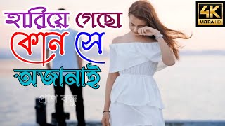 হারিয়ে গেছো কোন সে অজানায়। hariye geso kun se ojanai – WhatsApp status Dscouple Media [upl. by Synned]