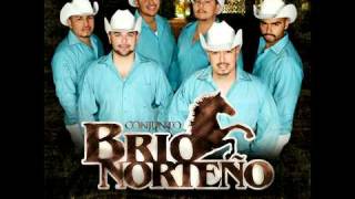 Conjunto Brio Norteno  Cumbia El Mamut [upl. by Kwon]