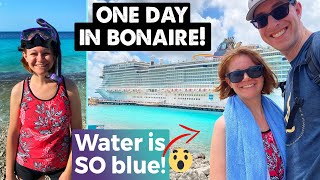 What to do for ONE DAY IN BONAIRE  Cruise Excursion Options [upl. by Eirrol]