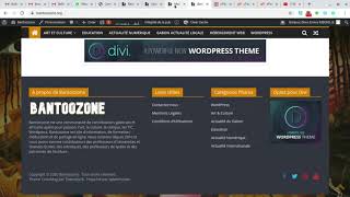 Modifier le footer Copyright du thème WordPress ColorMag [upl. by Ennylcaj]