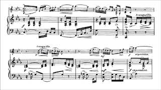 Seitz Friedrich Student Concerto No3 Op12 for violin  piano [upl. by Etep]