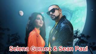 Selena Gomez amp Sean Paul  I Got You DJ Rivera Remix [upl. by Hum]