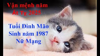 Tử vi Tuổi Đinh Mão 1987 Nữ mạng năm Ất Tỵ 2025 Sự nghiệp tài vận tình duyên và gia đạo [upl. by Mozes]