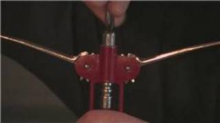 Wine Advice  How to Open Wine With a Lever Opener [upl. by Ahsinej]