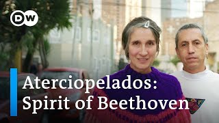 Aterciopelados Colombian band treasures Beethoven and Mother Nature  Music Documentary [upl. by Brynne398]