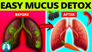 Top 10 Foods to Detox and Cleanse Mucus From Your Lungs [upl. by Aleusnoc223]