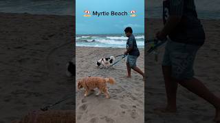 🏖️ Myrtle Beach 🏖️baseball shorts beach [upl. by Staford200]