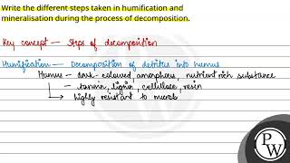 Write the different steps taken in humification and mineralisation during the process of decompo [upl. by Sad]