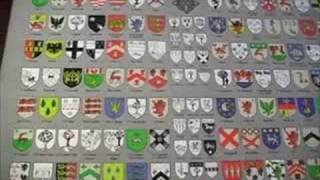 Irish Coats of Arms Crests Family Tartans Heraldry True or False [upl. by Ahtebat]