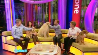 BBC Bloopers  Outtake TV  9042010 [upl. by Adal98]