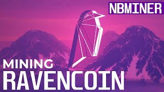 How To Mine Ravencoin  Ravencoin mining with NBminer [upl. by Eiznekcam]