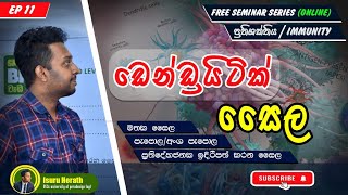 ඩෙන්ඩ්‍රයිටික් සයිල  ACP cells  Free Seminar series Sem No 1 [upl. by Otti]