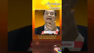 AGRADEÇA SEMPRE POR DIVALDO FRANCO shortsadoptme amor fe espiritismo espiritismo youtubeshorts [upl. by Macpherson]