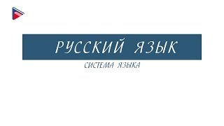 MATEMATYKA  Te typy zadań pojawią się na Twoim arkuszu  Egzamin Ósmoklasisty 2024 aktualne [upl. by Slack]