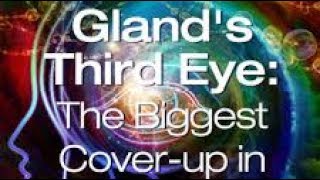 The Sun Gazing and Pineal Gland Doctrine Exposed [upl. by Icyaj483]