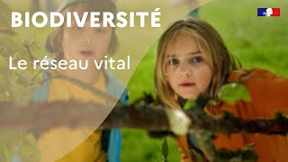 Biodiversité  le réseau vital [upl. by Madai]