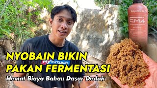 COBAIN BIKIN PAKAN FERMENTASI UNTUK AYAM  Vlog Adityafarm 99 [upl. by Enicar]