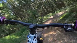 Flow shaped und Enduro1 im Bikepark Geißkopf am 200924 🤙🏼 [upl. by Lorraine]