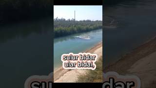 sulur bidar hantu bidai ular bidai [upl. by Lotson]