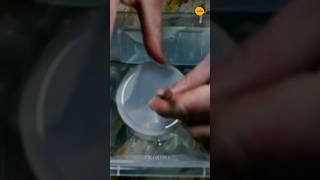 Rehbinder Effect science shorts sciencefacts physics physicsfacts [upl. by Gronseth61]